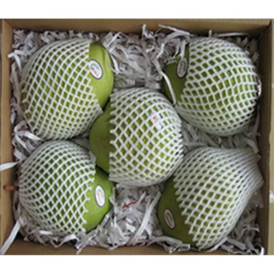 What is the advantage of fruit net cover in Longkou City plastics machinery plant?